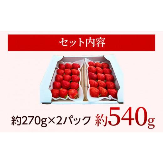 ふるさと納税 福岡県 田川市 農家直送 朝採り新鮮いちご [(約270g)×2パック]＜2023年12月以降順次出荷予定＞