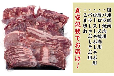 57-3国産豚肉バラエティ5種セット4kg（小分け真空包装）