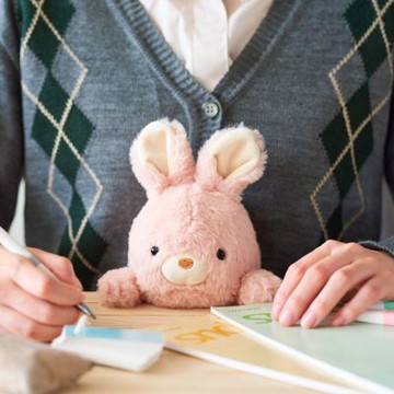 Dreams Posture Pal 坐姿伴偶(L)