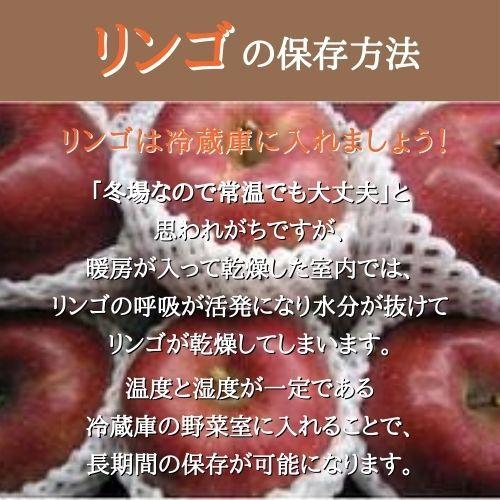 りんご サンふじ L ３kg 箱（約11〜12個入り） 産地直送 送料無料 12月上旬〜順次発送 福島 りんご屋さとう