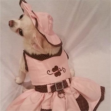 春秋季新款高貴寵物裙子4件套帽子生理褲牽引繩配套搭配