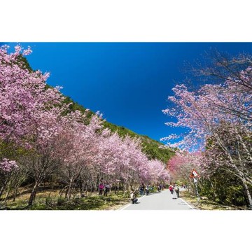 【Together一起旅行】亞洲最大檜木馬告神木園．三川匯流景觀台．棲蘭山莊2日（一人成行）-25TM104CL1