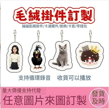 🎉【來圖定製】毛絨吱吱叫鑰匙扣 客製圖案+聲音 可訂製寵物動漫卡通人形 DIY訂製布藝異形抱枕掛件 可錄音bb響 定制類