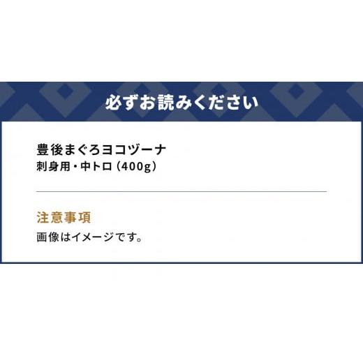 ふるさと納税 大分県 津久見市 豊後まぐろ ヨコヅーナ刺身用・中トロ 400g 鮪 マグロ 海鮮丼 刺し身 盛り合わせ 冷凍 魚の刺身 大分県産 九州産 津久見市