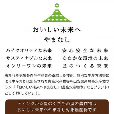 ふるさと納税 笛吹市 山梨県産シャインマスカット2房(約1.2kg)