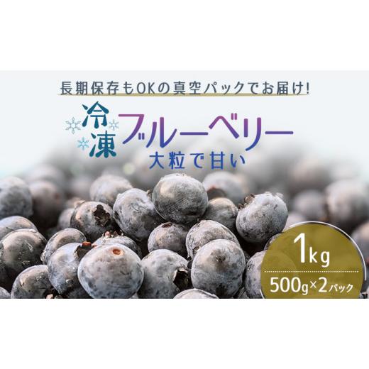 ふるさと納税 秋田県 男鹿市  冷凍ブルーベリー500g×2ハ゜ック（合計1kg）