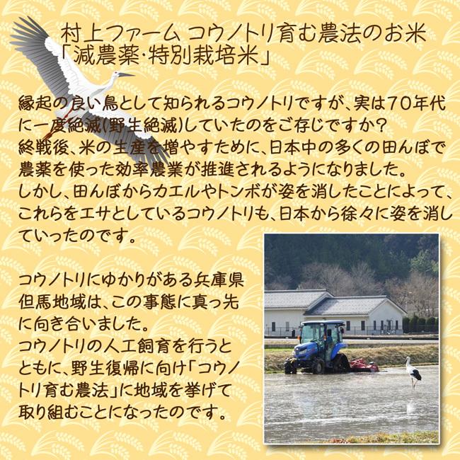 新米 コシヒカリ 特別栽培米 コウノトリ育む田んぼのお米！2kg 玄米 白米 令和5年産 特別栽培米 有機肥料 兵庫県産 送料無料