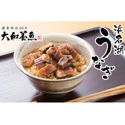 ふるさと納税 浜松市 大和養魚の浜名湖うなぎ蒲焼きざみ(60グラム×10袋)蒲焼のたれセット