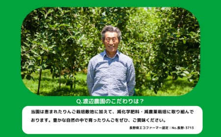 りんご サンふじ 家庭用 小玉 5kg 渡辺農園 沖縄県への配送不可 2023年12月中旬頃から2024年1月中旬頃まで順次発送予定 令和5年度収穫分 エコファーマー認定 減農薬栽培 長野県 飯綱町 [0803]