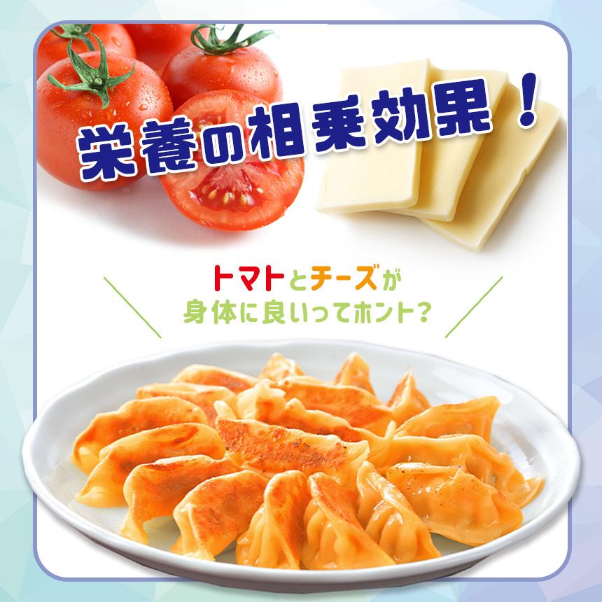 トマトチーズ餃子 80個入り タレなし餃子 焼餃子 お中元 ギフト お手軽料理 簡単 男子ごはん 変わり種 中華料理 送料無料