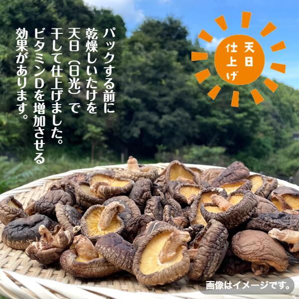 干し椎茸 九州産 肉厚 200g×5袋入 天日仕上げ 原木栽培 無農薬 ビタミンD 国産 しいたけ 椎茸 シイタケ 干ししいたけ 干しシイタケ