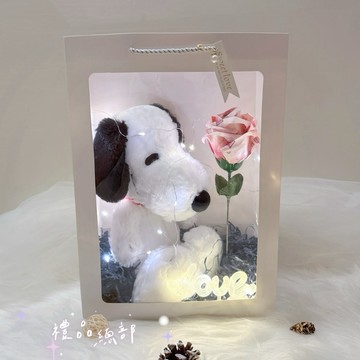 正版授權 史努比有錢花禮品袋 10英吋 鈔票花500元 史努比玩偶 史努比娃娃 SNOOPY 鈔票花 查理布朗 生日禮物