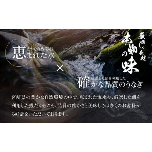 ふるさと納税 宮崎県 宮崎市 宮崎・鹿児島産 鰻蒲焼 大サイズ2尾セット_M069-008_03