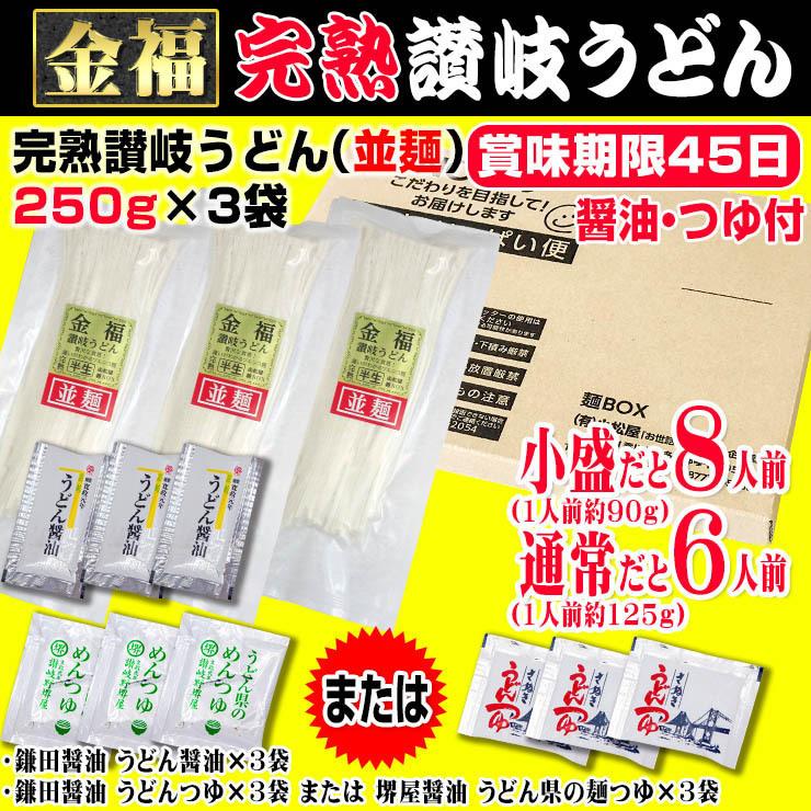 20時間熟成  半生 並麺 讃岐うどん つゆ付きセット 便利な個包装 750g 送料無料 最安値挑戦 得トクセール 特産品