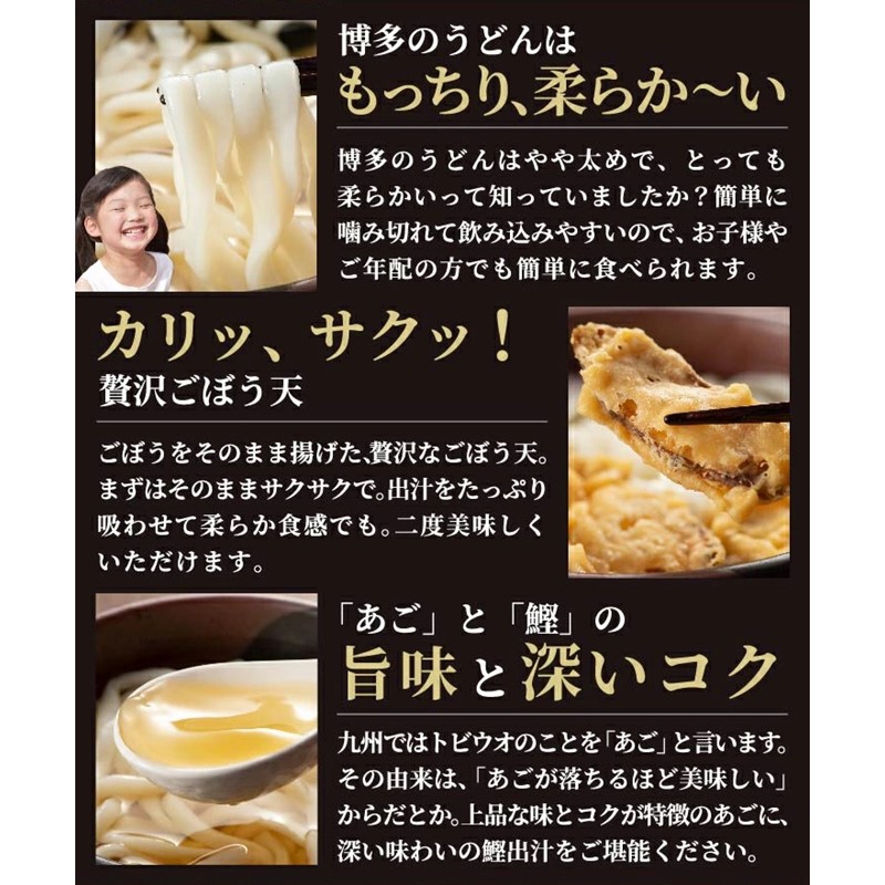 博多ごぼう天うどん 12食セット