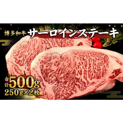 ふるさと納税 福岡県 直方市 博多和牛 サーロインス テーキ 250g×2枚 計 500g 和牛 国産