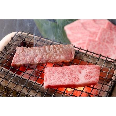 ふるさと納税 飛騨牛本日の希少部位・ランプ焼肉セット 各450g  牛肉 国産 ブランド牛 岐阜県下呂市