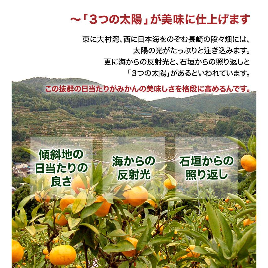 『味ロマン』 JA長崎せいひ M〜Lサイズ 約10kg 産地箱 外皮に傷あり ※常温　送料無料