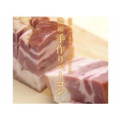 ふるさと納税 米原市 味わい赤味ベーコン 170g　3個セット