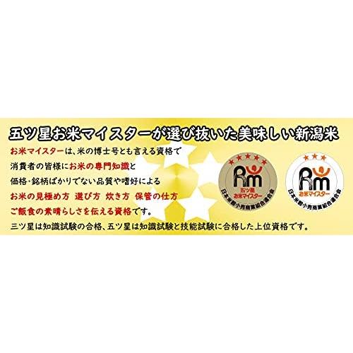 お米マイスター厳選1等米 令和4年産 新潟県産 コシヒカリ 10kg (5kg×2) 白米 精米 (食味分析80点以上の精米仕立て