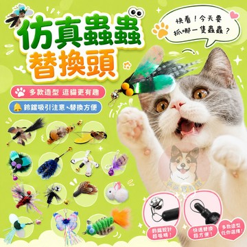 🦋仿真蟲蟲🦋 替換頭 逗貓棒 貓玩具 貓咪玩具 寵物玩具 逗貓 幼貓玩具 豆貓棒 貓的玩具 貓咪小貓玩具用品昆蟲小鳥蝴蝶