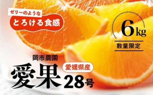 ＼農園直送／愛媛県産 愛果28号 3kg×2箱 限定50箱◆ ※2023年12月中旬頃～2024年1月中旬頃に順次発送予定