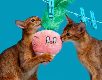 【粉蘿卜】寵物發聲陪伴/磨牙耐咬玩具