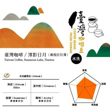 春日咖啡 台灣咖啡豆—潭影日月 水洗100g(南投日月潭)