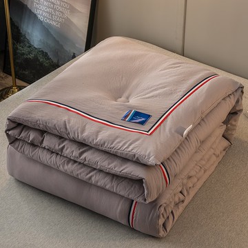 水洗棉被子冬被冬天加厚保暖雙人春秋被芯單人學生宿舍棉被被褥