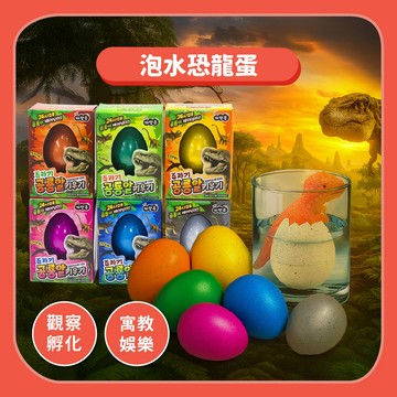 【恐龍玩具】泡水恐龍蛋孵化恐龍蛋｜恐龍孵化觀察體驗