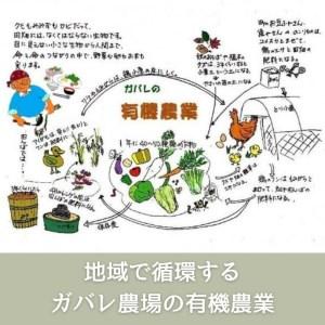 ふるさと納税 ガバレ農場の季節の有機野菜詰め合わせセット 埼玉県鴻巣市