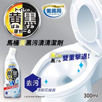 AIMEDIA艾美迪雅-專業用馬桶黃黑污漬清潔劑300ml/瓶(日本製廁所強效去污洗劑,芳香消臭浴廁潔淨液)