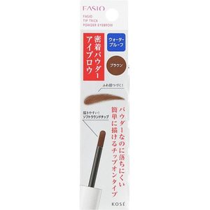 FASIO chip trick powder Eyebrow BR300