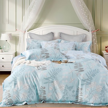 E-ROU 伊柔寢飾 MIT吸濕排汗抗菌天絲床包 + 枕套 2個  King Size  薄荷綠韻