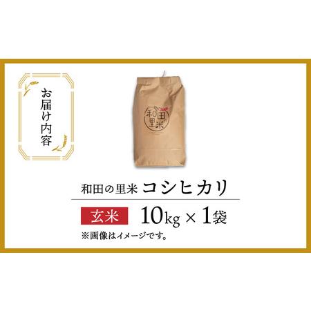 ふるさと納税 和田の里米 コシヒカリ 玄米 10kg 福井県高浜町