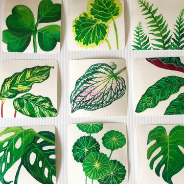 清新植物貼紙 │ 透明防水貼紙 │ １組 20 張