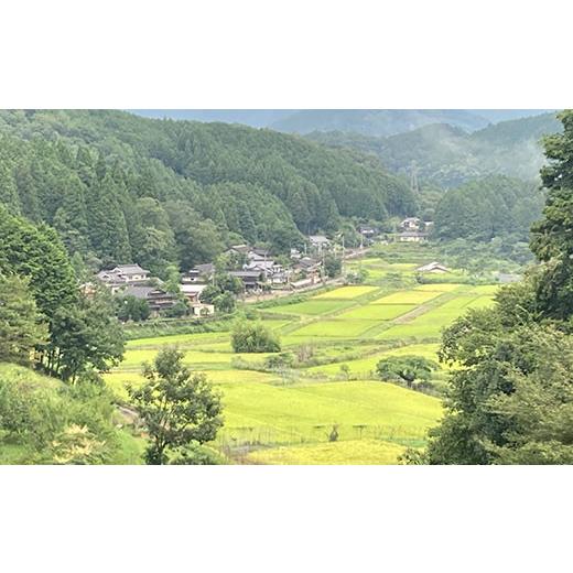 ふるさと納税 京都府 福知山市 京都丹波産　コシヒカリ米（精米）5kg×2  ふるさと納税 米 新米 精米 コシヒカリ 京都府 福知山市