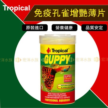 Tropical 德比克【免疫孔雀增艷薄片】●維持體色/幫助免疫/針對孔雀魚配方(魚飼料 孔雀魚飼料 孔雀魚薄片〝宏洋