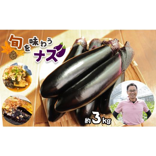 ふるさと納税 栃木県 真岡市 旬を味わうナス 約3kg