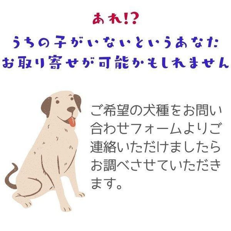 猛犬注意の看板 ビンテージ風 英語版 おしゃれな プレート 犬がいます