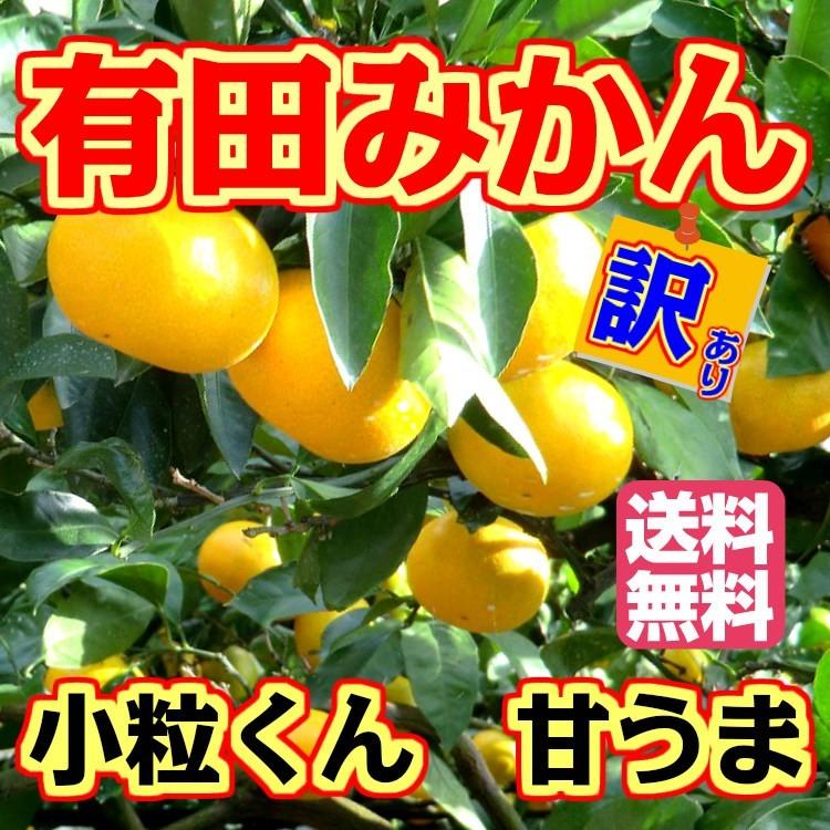 みかん 10kg 送料無料 訳あり 小粒くん 有田みかん 果物 おいしい 小玉 和歌山直送 産地直送 ミカン 甘い お買い得 ご自宅用