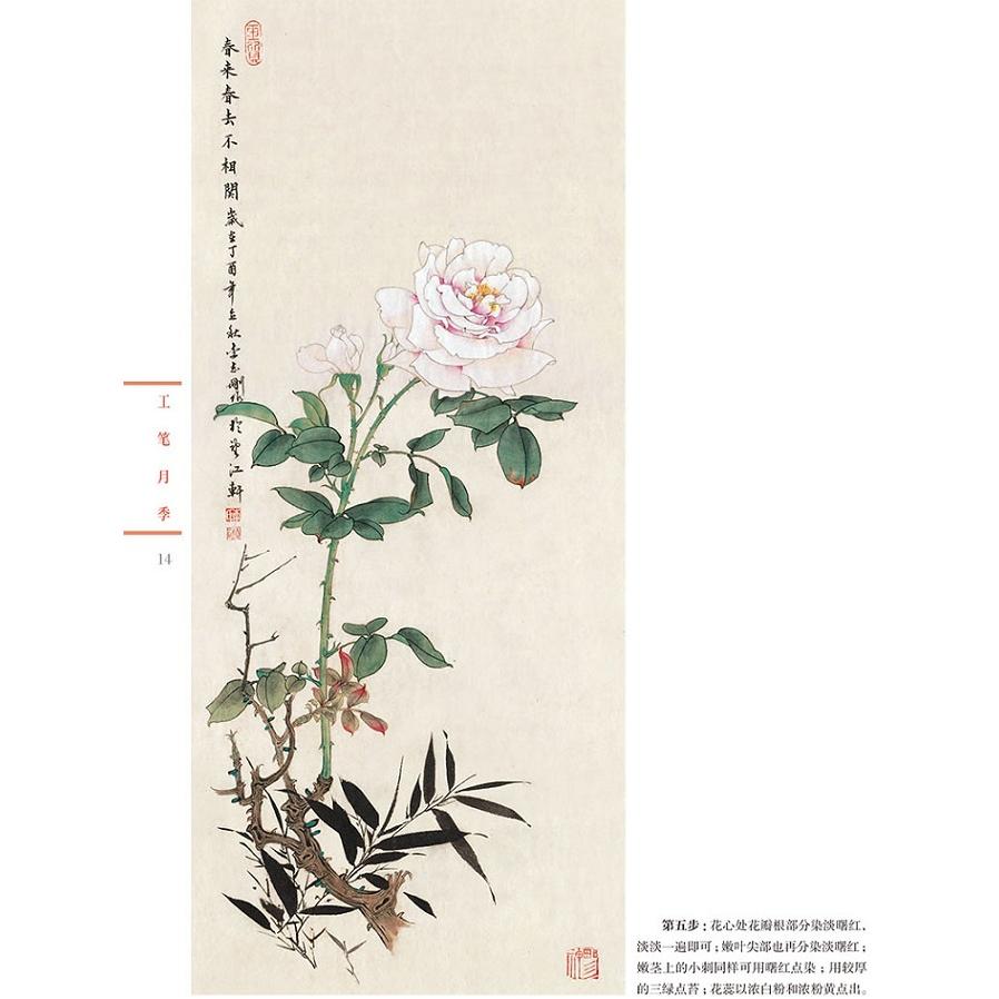 工筆バラ　中国画技法書　新編養心齋描臨画譜　中国絵画 工#31508;月季　新#32534;#20859;心#25995;描#25721;画#35889;