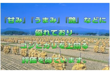 宮城県栗原産 つや姫 毎月5kg (5kg×1袋)×6ヶ月