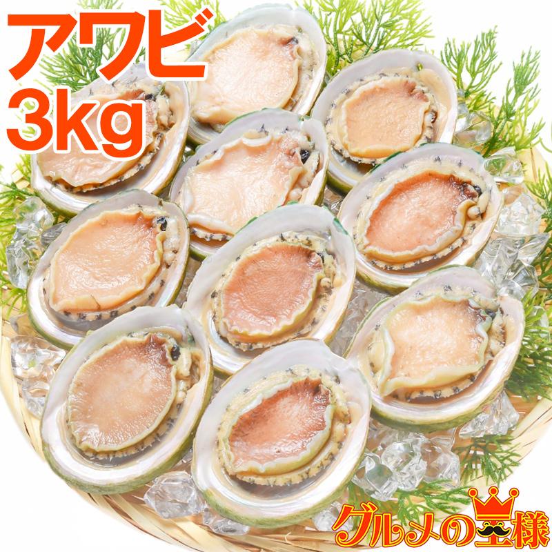 あわび Lサイズ 3kg 合計36個 1箱12個入り(殻つきお刺身用アワビ 翡翠の瞳)