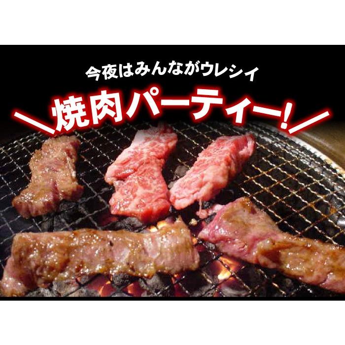 焼肉セット 厳選 BBQ バーベキュー セット 2.1kg 黒毛和牛 国産豚肉 国産若鶏 豚ホルモン ウィンナー 合計6品入り メガ盛り