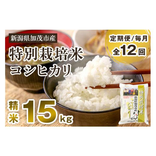 ふるさと納税 新潟県 加茂市 新潟県加茂市産 特別栽培米コシヒカリ 精米15kg（5kg×3）白米 従来品種コシヒカリ 加茂有機米生産組…