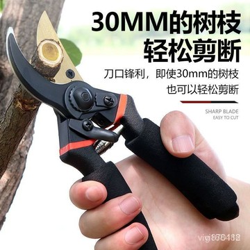 🔥臺灣出貨-熱賣中🔥園林剪 10寸 修枝剪 果樹剪 高枝剪 園藝剪刀 粗枝剪 花枝剪 粗枝剪 樹枝剪 強力園林修枝剪