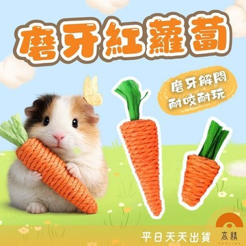 小寵磨牙品 造型磨牙品 小寵磨牙玩具 草製編織磨牙 倉鼠磨牙 兔子磨牙 編織磨牙棒 蔬菜造型磨牙棒
