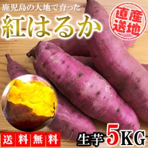 紅はるか さつまいも 5kg 送料無料 生芋 産地直送 産直 土付き さつま芋 薩摩芋 焼きいも 焼き芋 石焼き芋 芋 いも イモ 鹿児島県産 FJK-