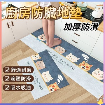 【現貨🔥隔日到貨】晶絨地墊 地墊 浴室防滑墊 廚房地墊 浴室地墊 腳踏墊 踏墊 地毯 防水 防油 防滑地墊 吸水踏墊